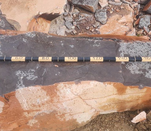 20210904_135142_result